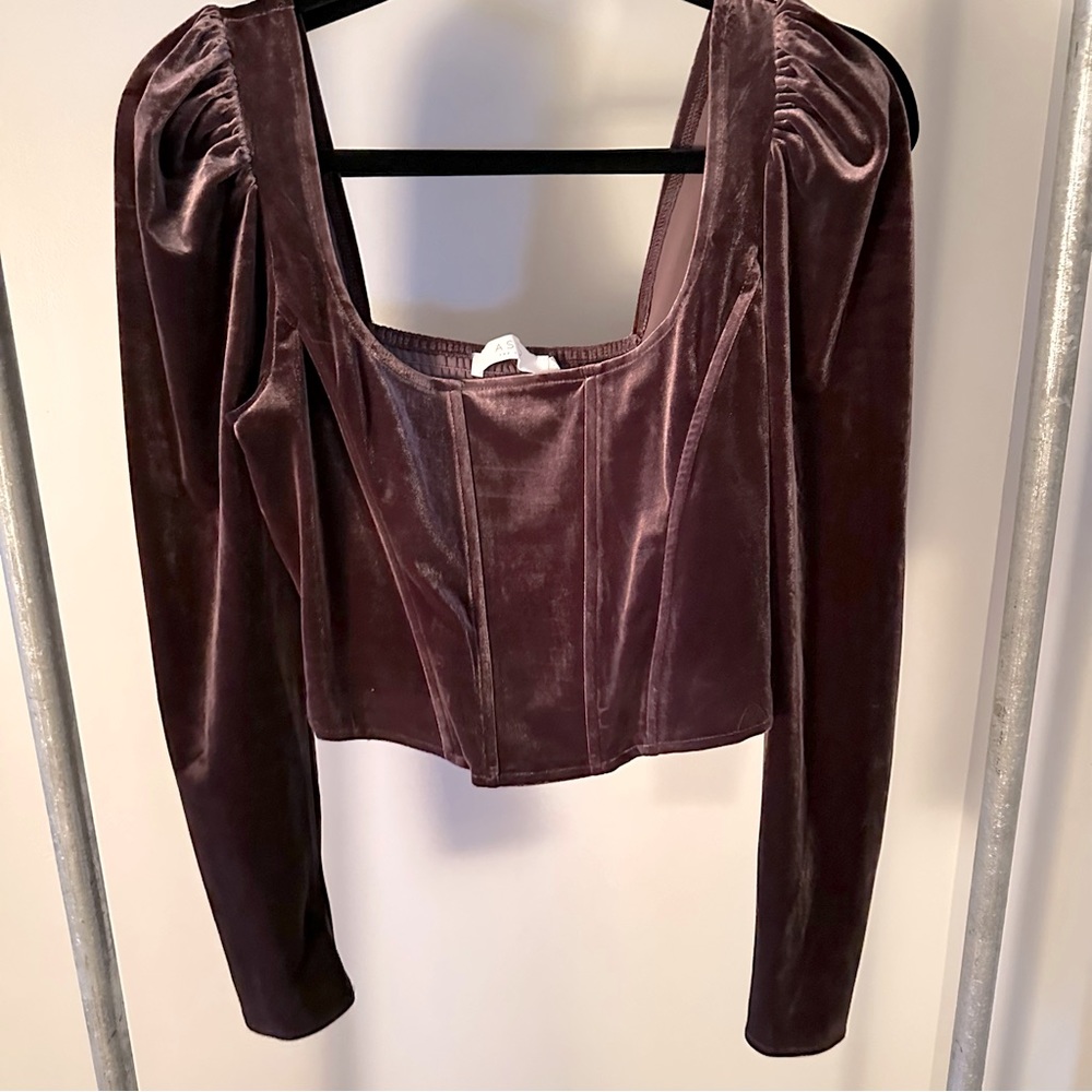 🪩 3 for $20 🪩 ASTR Velvet Top
